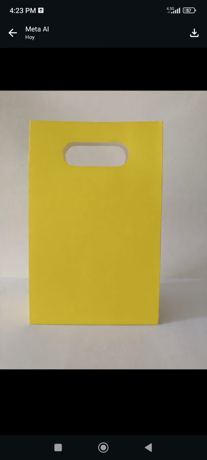 BOLSA DULCERA