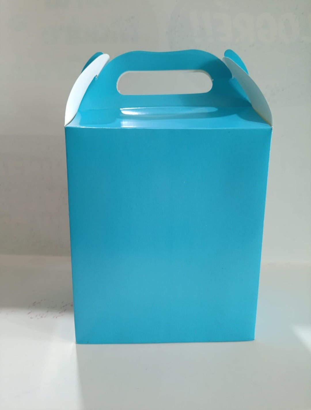 CAJA LONCHERA