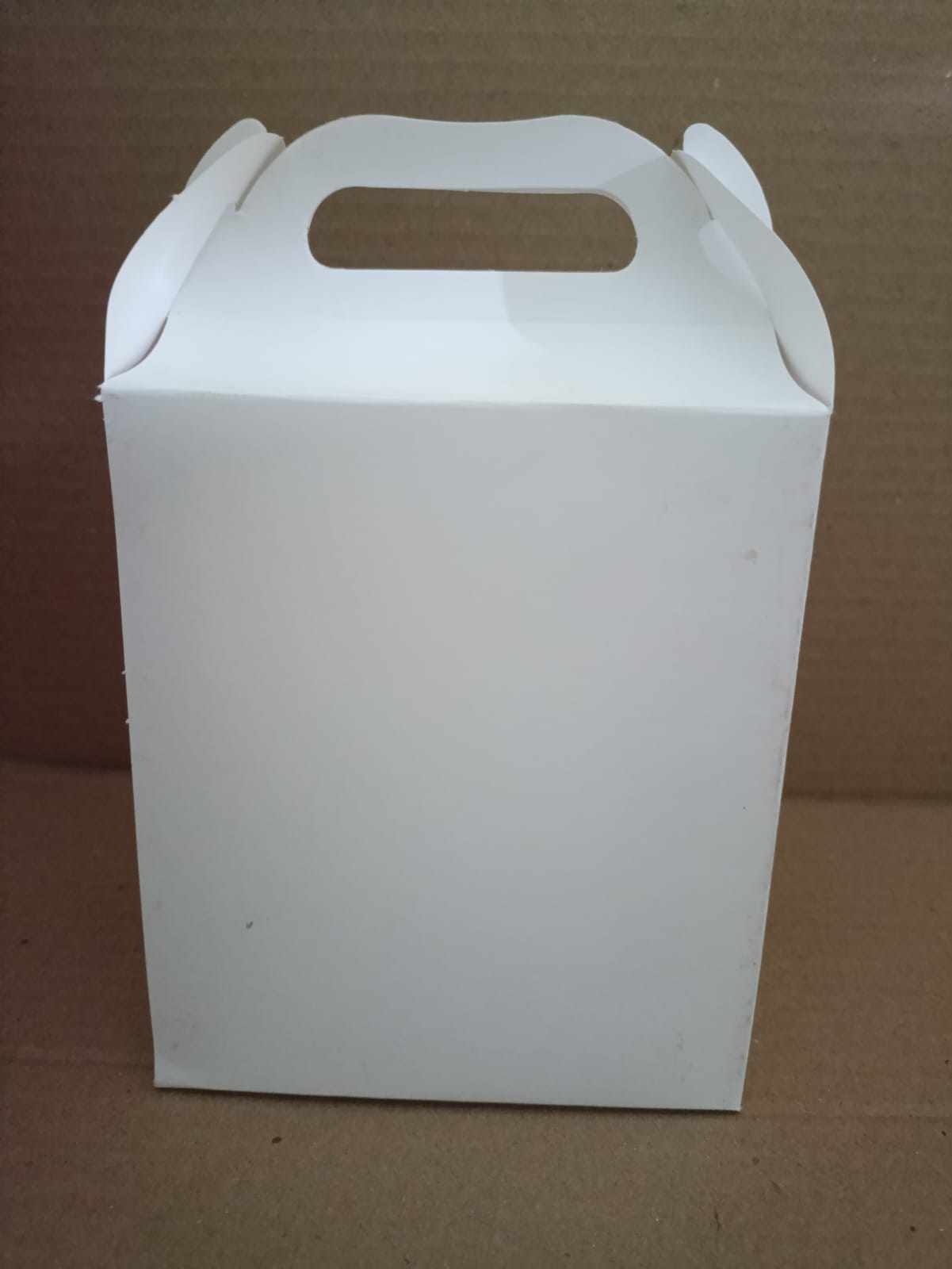 CAJA LONCHERA