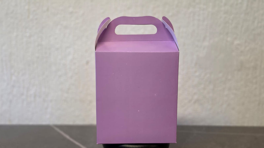 LONCHERA DE CARTON GLOBO ART DULCEROS PARA FIESTA
