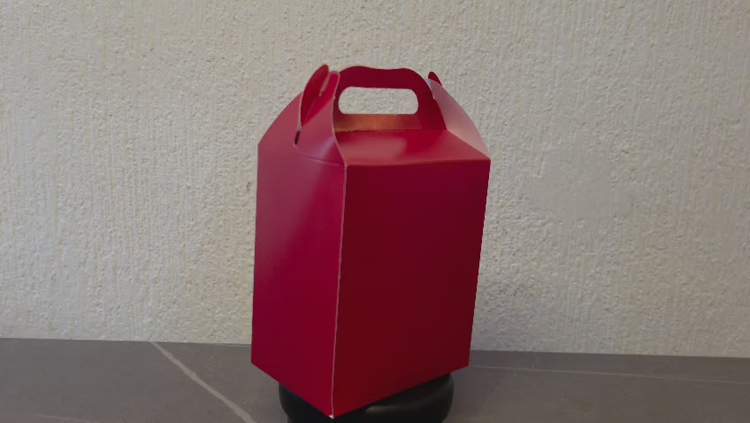 LONCHERA DE CARTON GLOBO ART DULCEROS PARA FIESTA