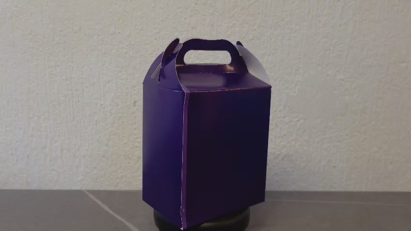 LONCHERA DE CARTON GLOBO ART DULCEROS PARA FIESTA