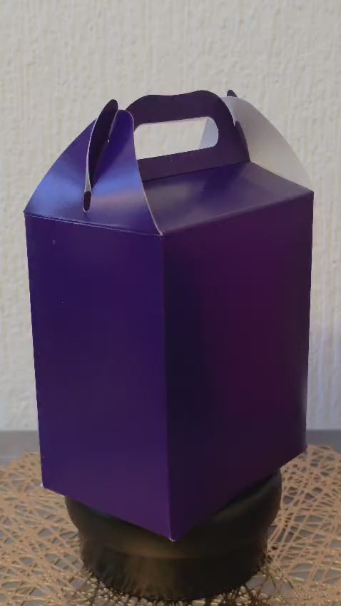 LONCHERA DE CARTON GLOBO ART DULCEROS PARA FIESTA