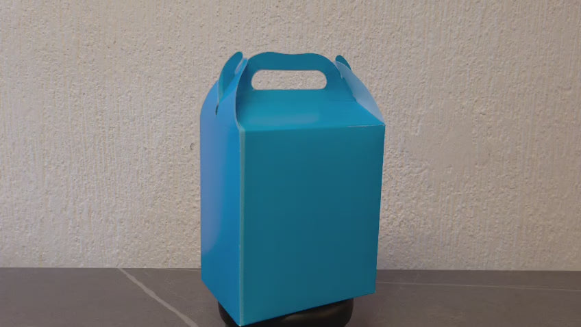 LONCHERA DE CARTON GLOBO ART DULCEROS PARA FIESTA