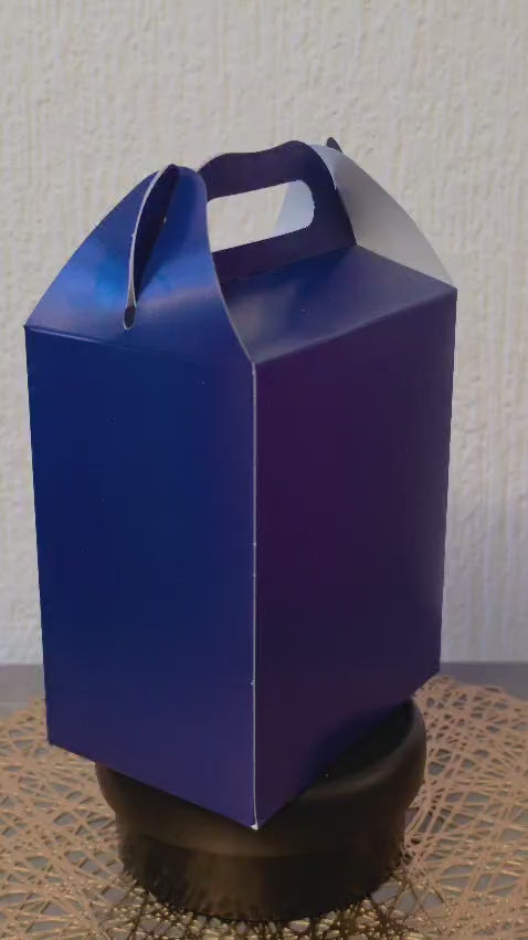 LONCHERA DE CARTON GLOBO ART DULCEROS PARA FIESTA