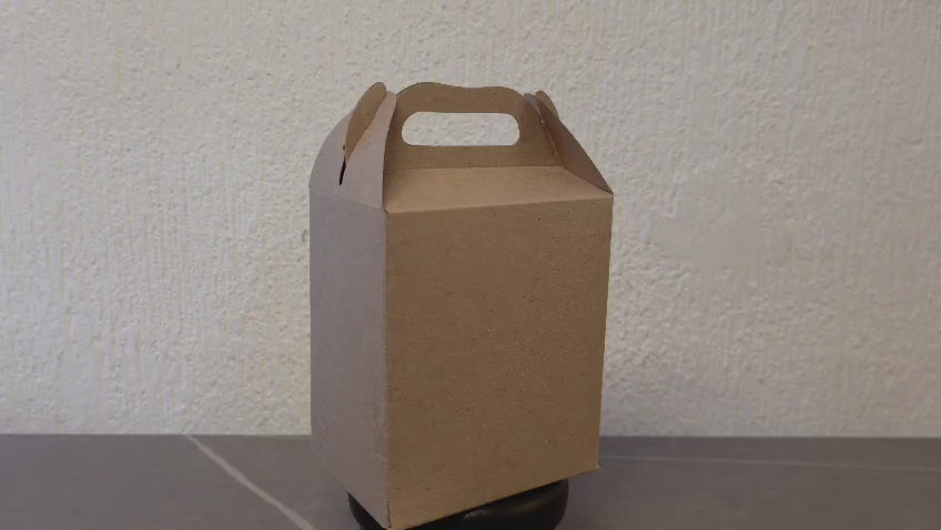 LONCHERA DE CARTON GLOBO ART DULCEROS PARA FIESTA