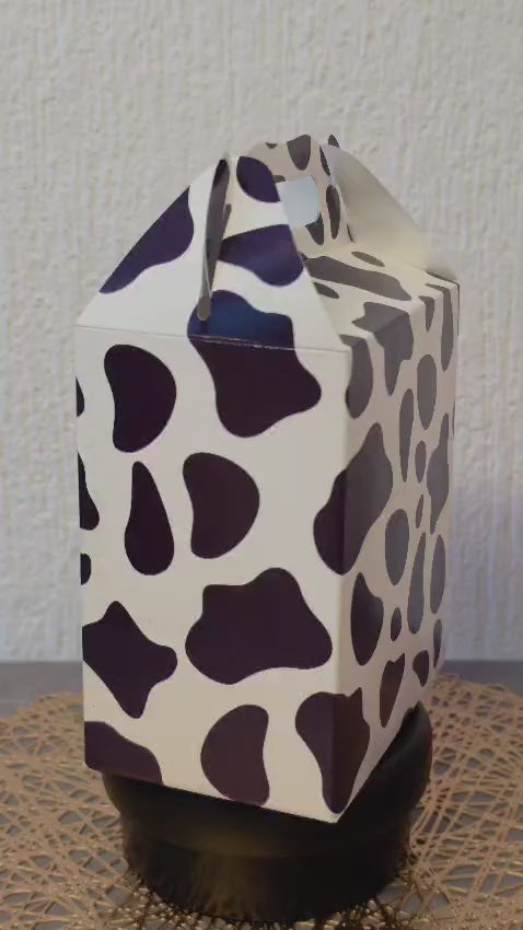 LONCHERA DE CARTON GLOBO ART DULCEROS PARA FIESTA