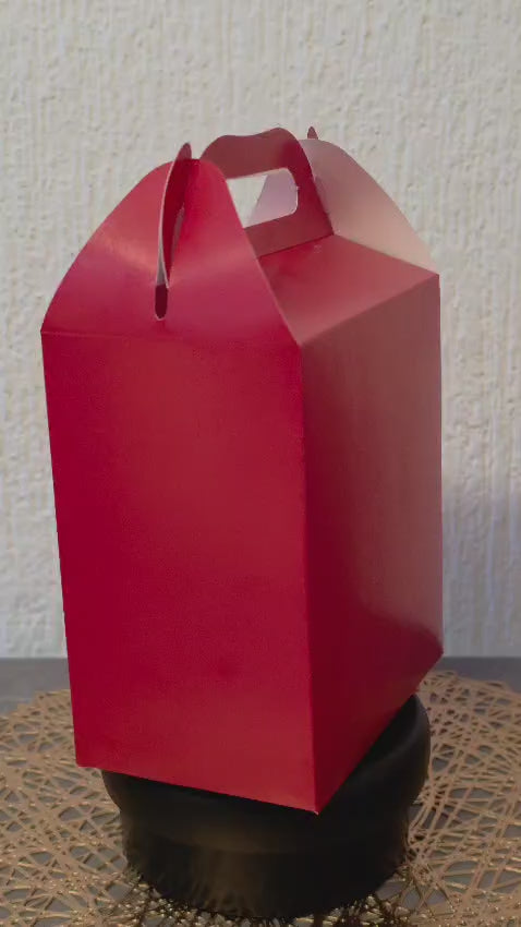 LONCHERA DE CARTON GLOBO ART DULCEROS PARA FIESTA