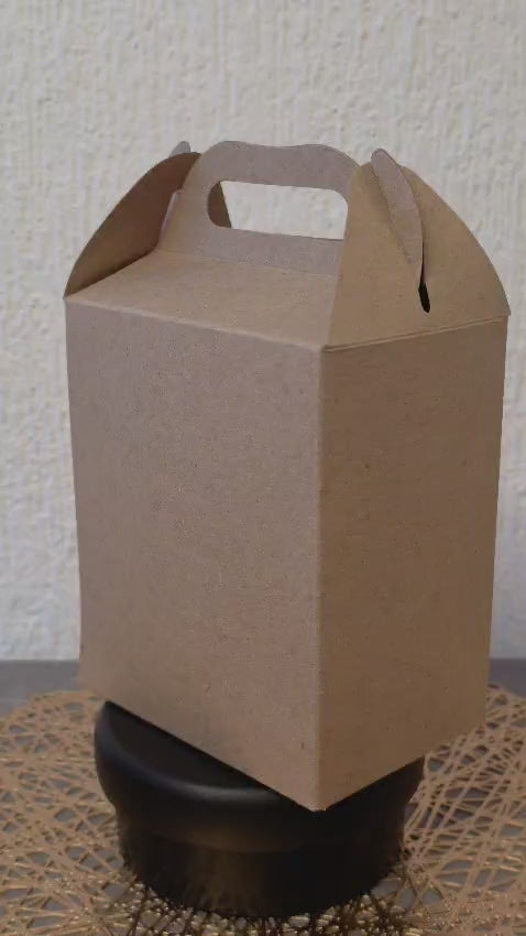 LONCHERA DE CARTON GLOBO ART DULCEROS PARA FIESTA