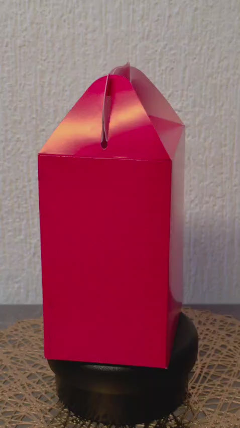LONCHERA DE CARTON GLOBO ART DULCEROS PARA FIESTA